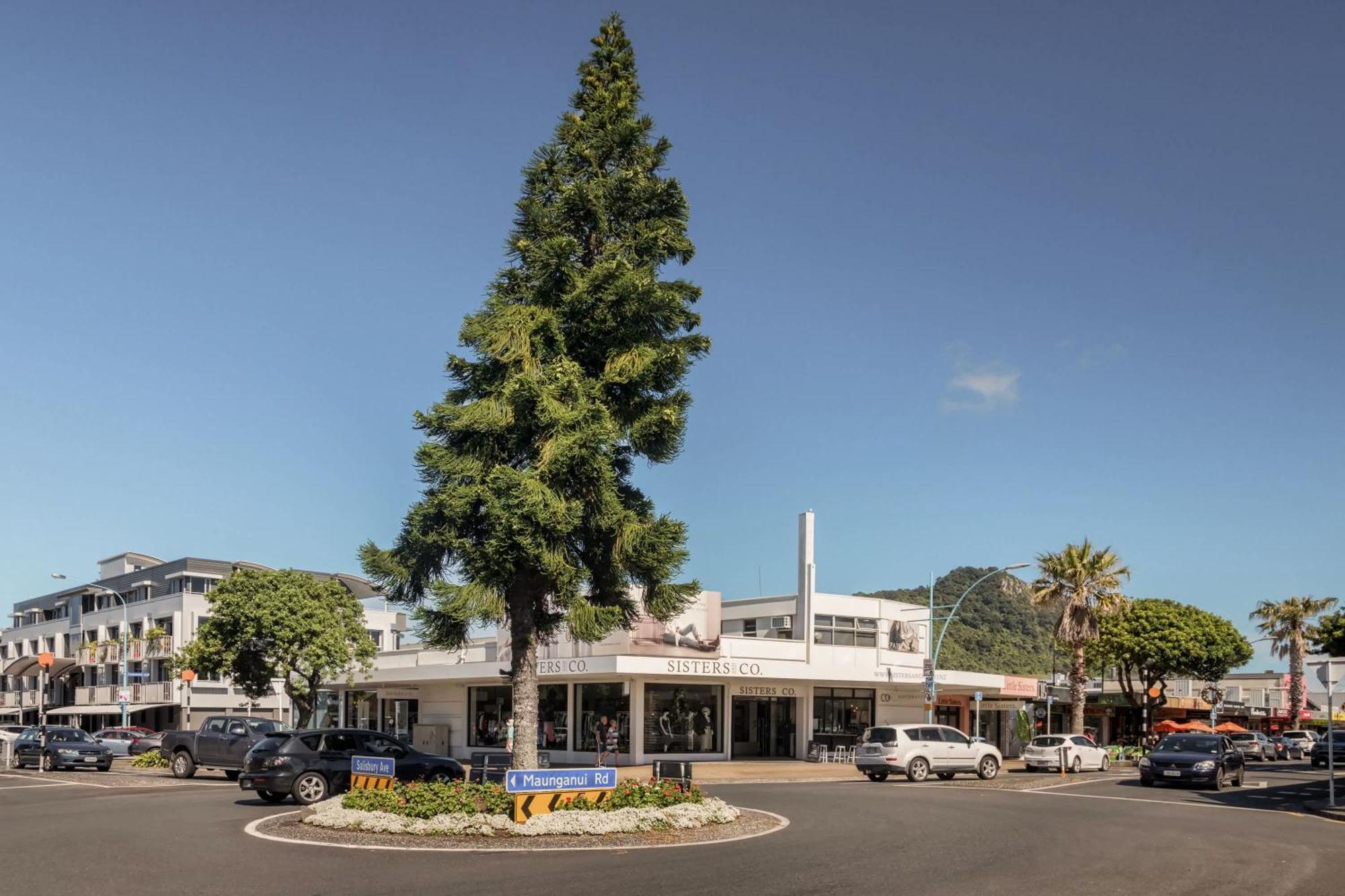 Oceanside Bliss - Absolute Beachfront - Uninterrupted Ocean Views With Pool Mount Maunganui Exterior photo